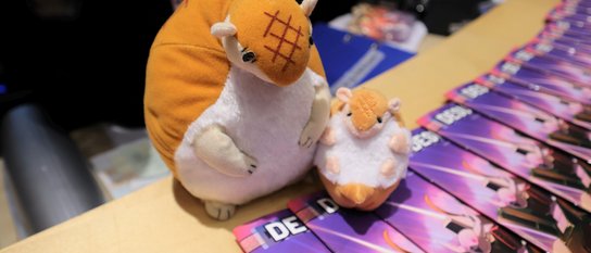 Esteettömyyspassi ja yhdenvertaisuustyö Desuconissa