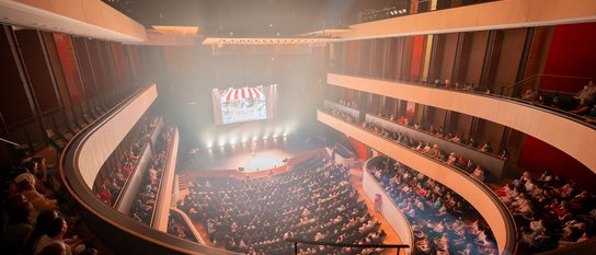 Desucon 2026 cosplaykilpailut ja säännöt julki!