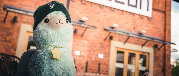 Alpakka - kansanvallan vahtikameli vai pörröinen valloittaja?